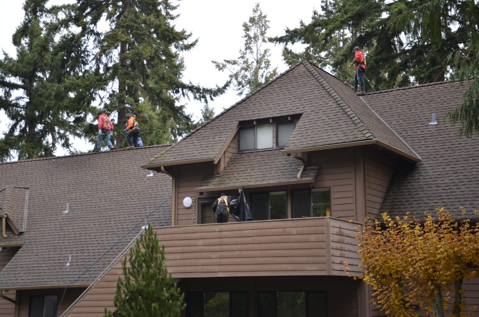 Roof Cleaning Near Me Gig Harbor WA